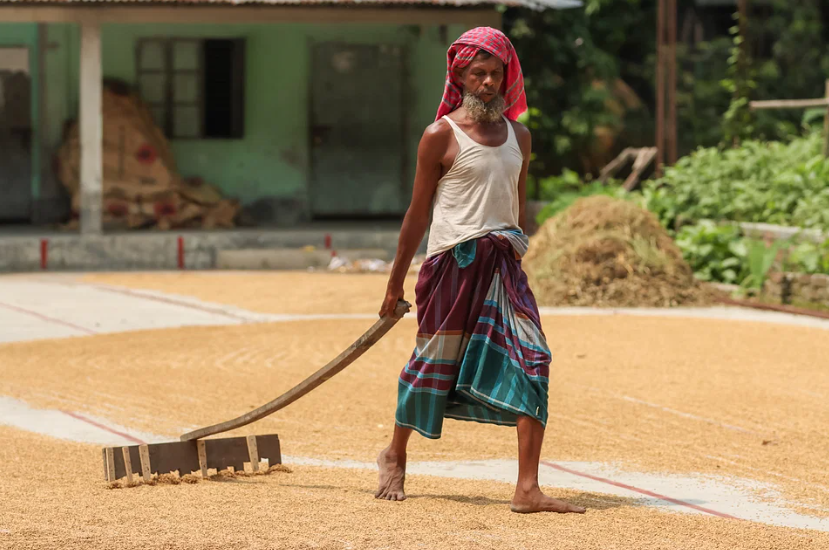 দানাদার খাদ্য উৎপাদনে রেকর্ড